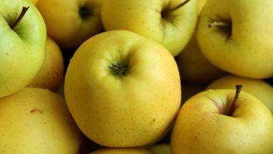 کالری سیب زرد چقدر است؟