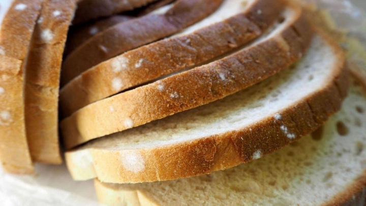 کاهش رطوبت نان قبل از فریز کردن برای جلوگیری از سفیدک زدن