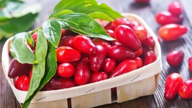 کالری زغال اخته چقدر است؟