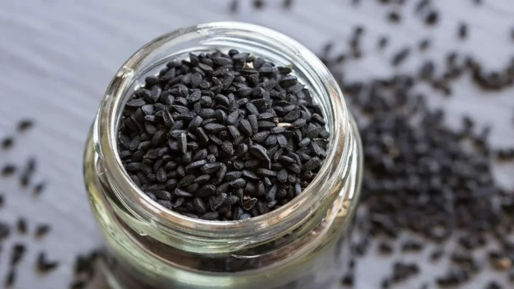 راهنمای کاشت بذر سیاه دانه در گلدان