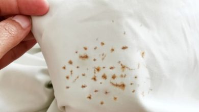 راه‌های رفع زنگ زدگی پرده