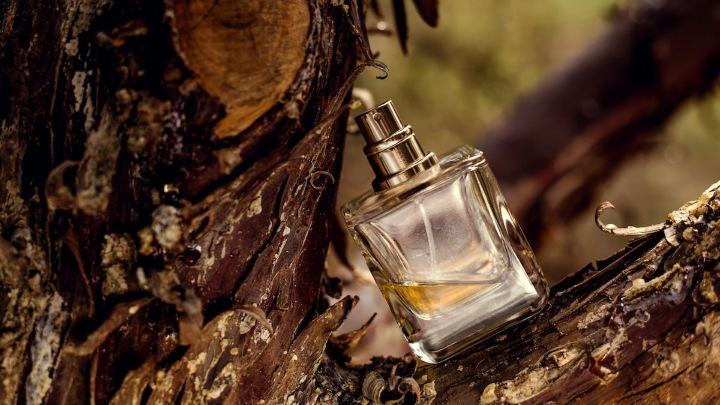 ترندهای عطر در پاییز ۱۴۰۴
