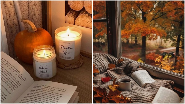 ایده‌های عکاسی پاییزی برای اینستاگرام؛ بازی با برگ‌های رنگی