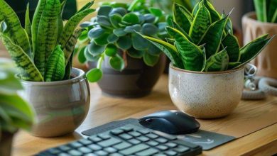 گل و گیاه مناسب برای شغل‌های مختلف