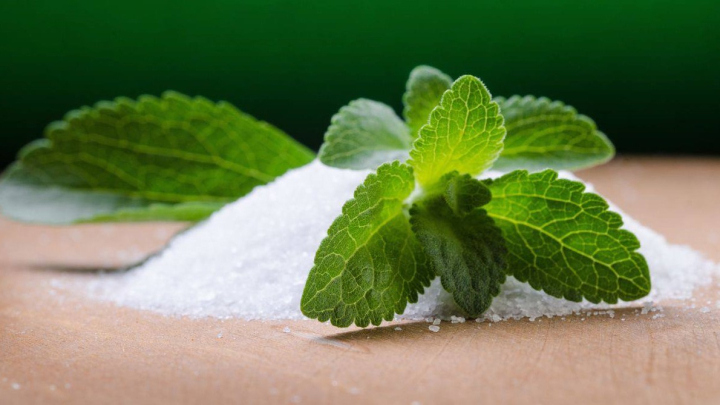 آشنایی با استویا و اطلاعات آن