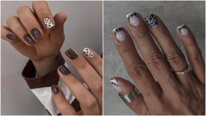 ایده‌ ناخن‌ قهوه‌ای با طرح پلنگی رنگی رنگی