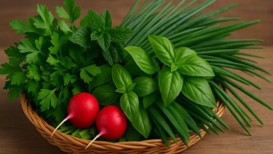 کالری سبزی خوردن چقدر است؟