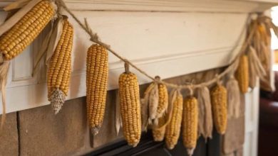روشهای ساده و سریع برای خشک کردن ذرت در خانه