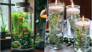 روش‌های ساده برای زیبا کردن گیاهان داخل آب