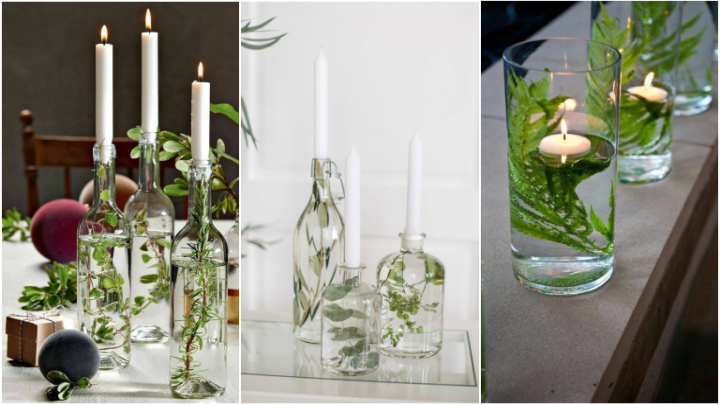 روش‌های طبیعی و ساده برای مراقبت از گیاهان آبزی