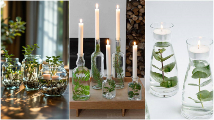 چگونه به کمک راهکارهای ساده، گیاهان داخل آب را شکیل‌تر کنیم؟