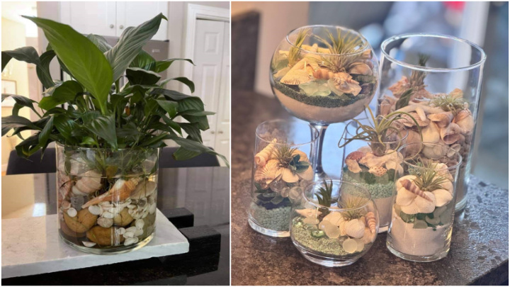 نکات تخصصی برای افزایش زیبایی گیاهان داخل آب