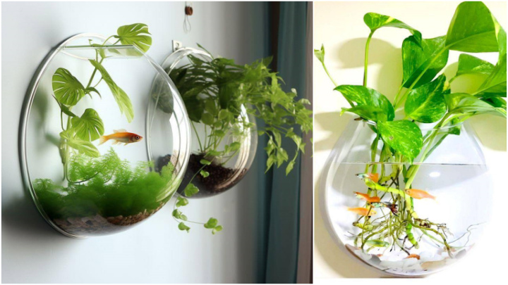 نکات طلایی برای نگهداری و زیباسازی گیاهان داخل آب