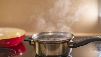 10 روش ساده و طبیعی برای مرطوب کردن هوای خانه بدون دستگاه بخار