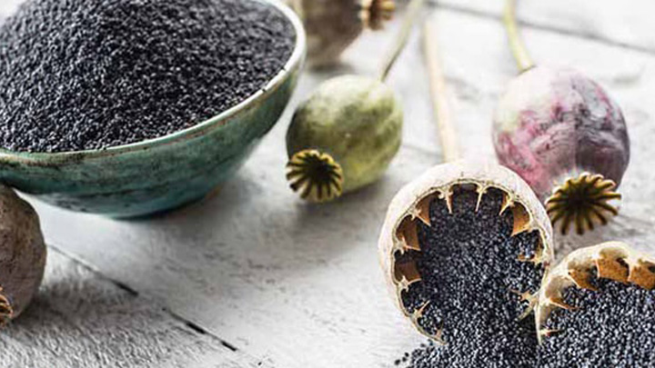 بهترین زمان مصرف دمنوش خشخاش بهترین زمان مصرف دمنوش خشخاش