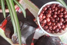 لواشک عناب؛ میان‌وعده‌ای ترش، مقوی و خانگی