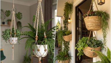 گلدان آویز سقفی و دیواری