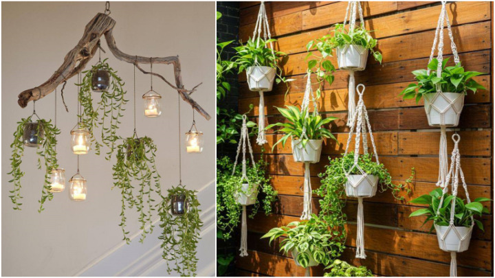 ایده با گلدان‌های آویز دیواری خوشگل 
