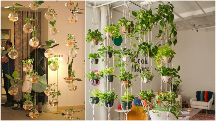ایده با گلدان‌های آویز خوشگل و ترند