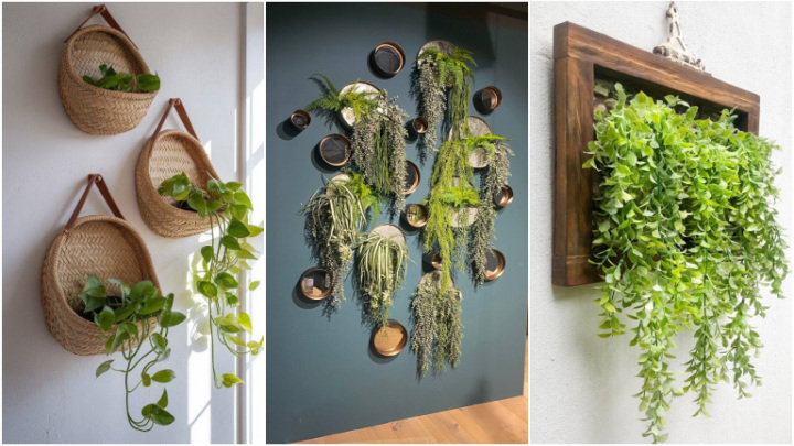 ایده‌های تغییر دکوراسیون با گلدان‌های آویز دیواری