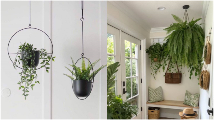 ایده‌ برای دکوراسیون با گلدان‌های آویز دیواری