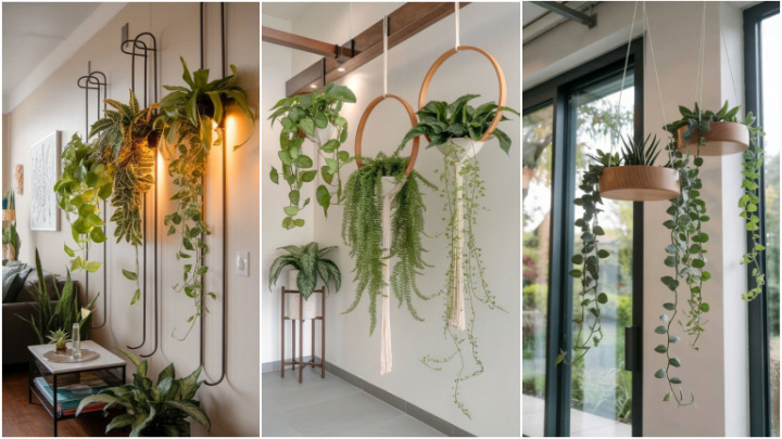 ایده با گلدان‌های دیواری با برگ‌های زیبا