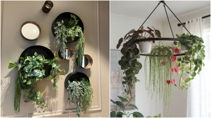 ایده با گلدان‌های آویز با برگ‌های آویزان