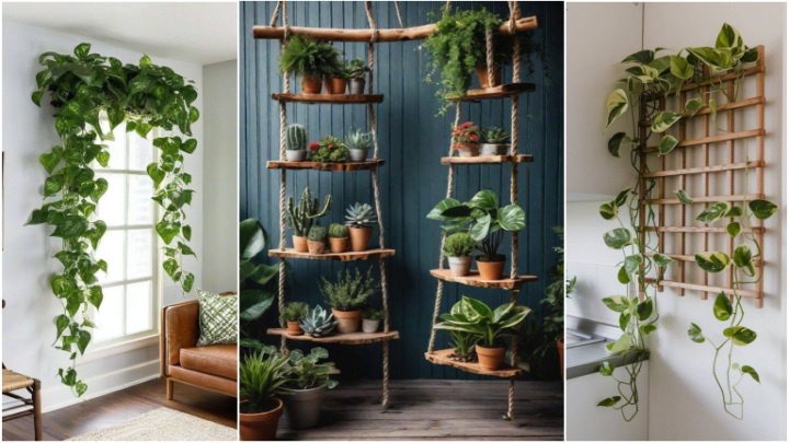 ایده با گلدان‌های دیواری با برگ‌های پرپشت