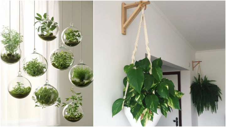 گلدان‌های آویز دیواری تکی و بزرگ برای دکوراسیون اتاق