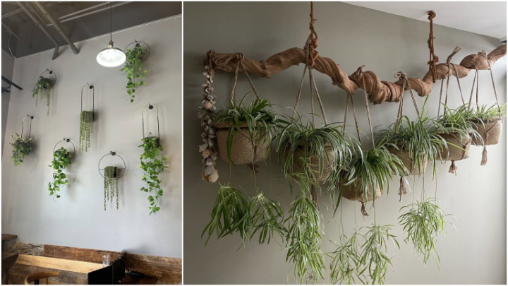 گلدان‌های آویز دیواری چندتایی و پیوسته برای دکوراسیون اتاق