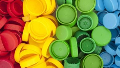 نجات گیاهان با استفاده از درب بطری