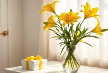 چقدر به هر گلدان آب بدهیم؟ راهنمای کامل آبیاری گل‌های آپارتمانی