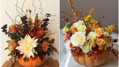 گل‌آرایی پاییزی با کدو حلوایی؛ ایده‌ای خاص برای سورپرایز کردن