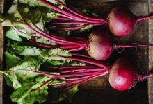 نحوه تشخیص لبوی شیرین و باکیفیت؛ راهنمای خرید بهتر