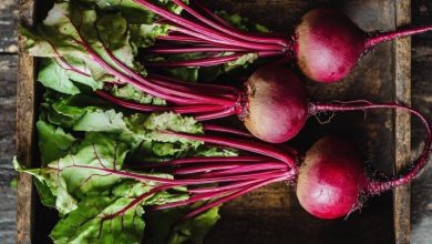 نحوه تشخیص لبوی شیرین و باکیفیت؛ راهنمای خرید بهتر