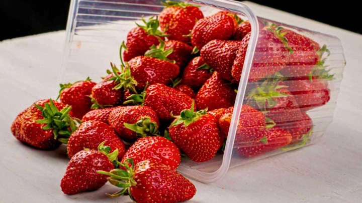 زمان کافی برای نگهداری از توت فرنگی در یخچال