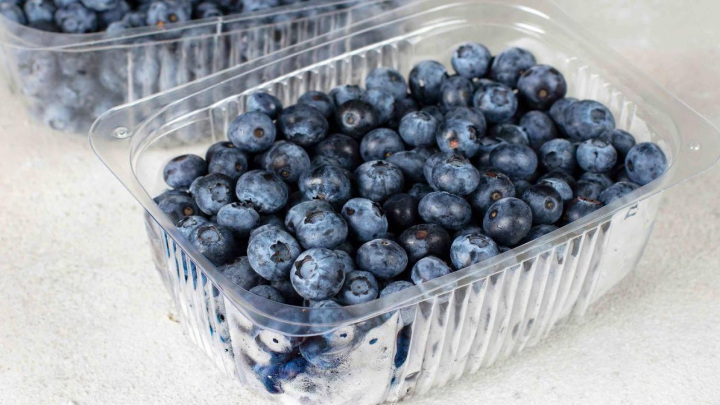 زمان لازم برای نگهداری از بلوبری در یخچال