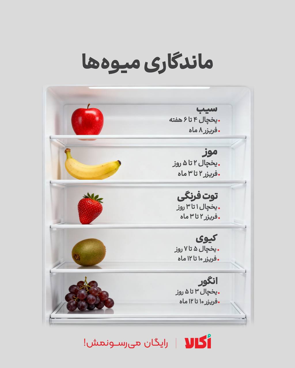 زمان نگهداری از میوه‌ها در یخچال