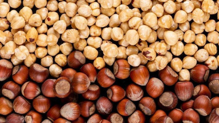 دلایل اصلی تلخ شدن طعم فندق