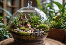 آموزش ساخت تراریوم در خانه