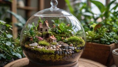 آموزش ساخت تراریوم در خانه