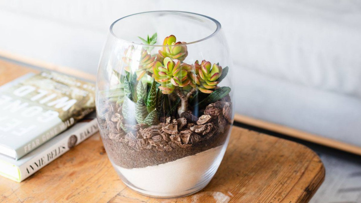 آموزش ساخت تراریوم