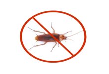 روش‌های علمی و خانگی مؤثر برای پیشگیری و دفع سوسک حمام؛ Methods for preventing and eliminating cockroaches