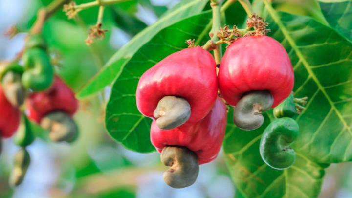 Making pots with disposable items