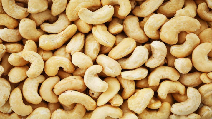 راهنمای کاشت بادام هندی در گلدان