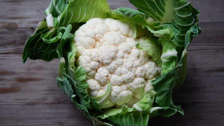 زمان مناسب کاشت گل ‌کلم