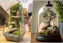 ایده برای تزئین تزئین تراریوم