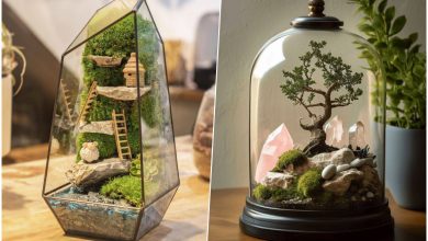 ایده برای تزئین تزئین تراریوم