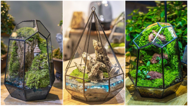 تزیین تراریوم با شاخه خشک، پوست درخت و خزه طبیعی تزیین تراریوم با شاخه خشک، پوست درخت و خزه طبیعی