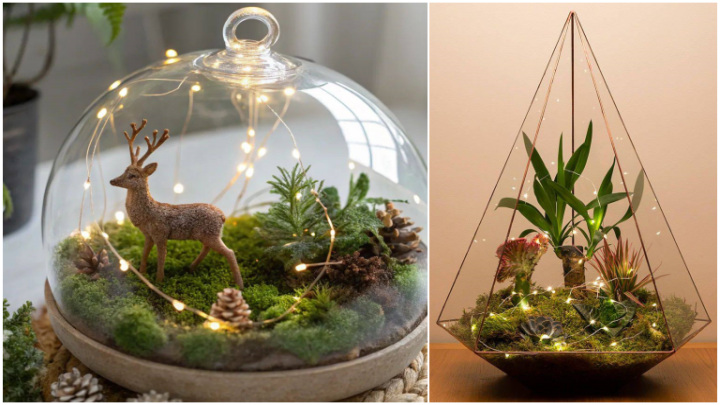 تزیین تراریوم با چراغهای LED تزیین تراریوم با چراغهای LED